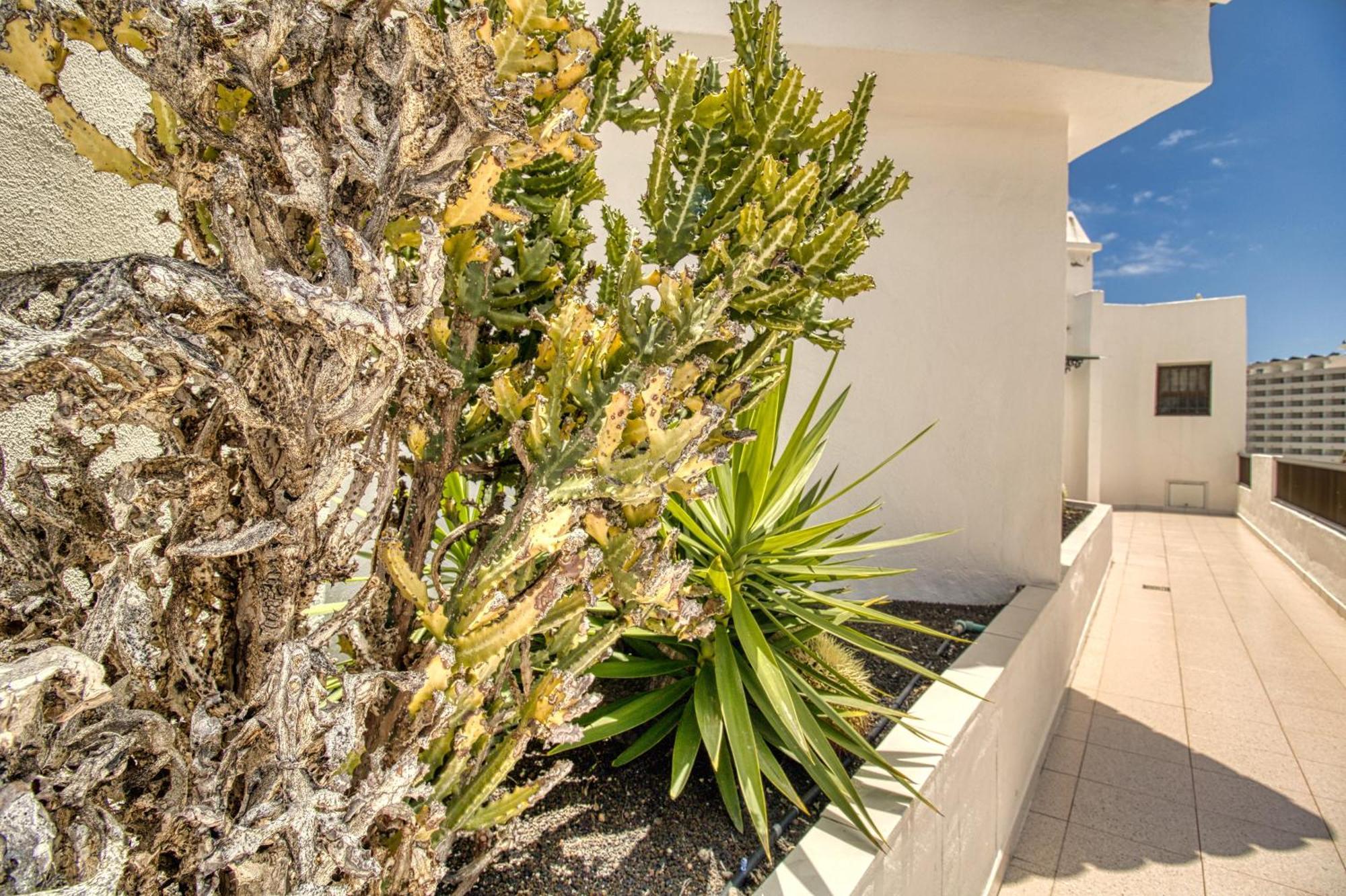 Penthouse Sea View Jacuzzy Terrace & Pool Apartman Playa Feñabe Kültér fotó
