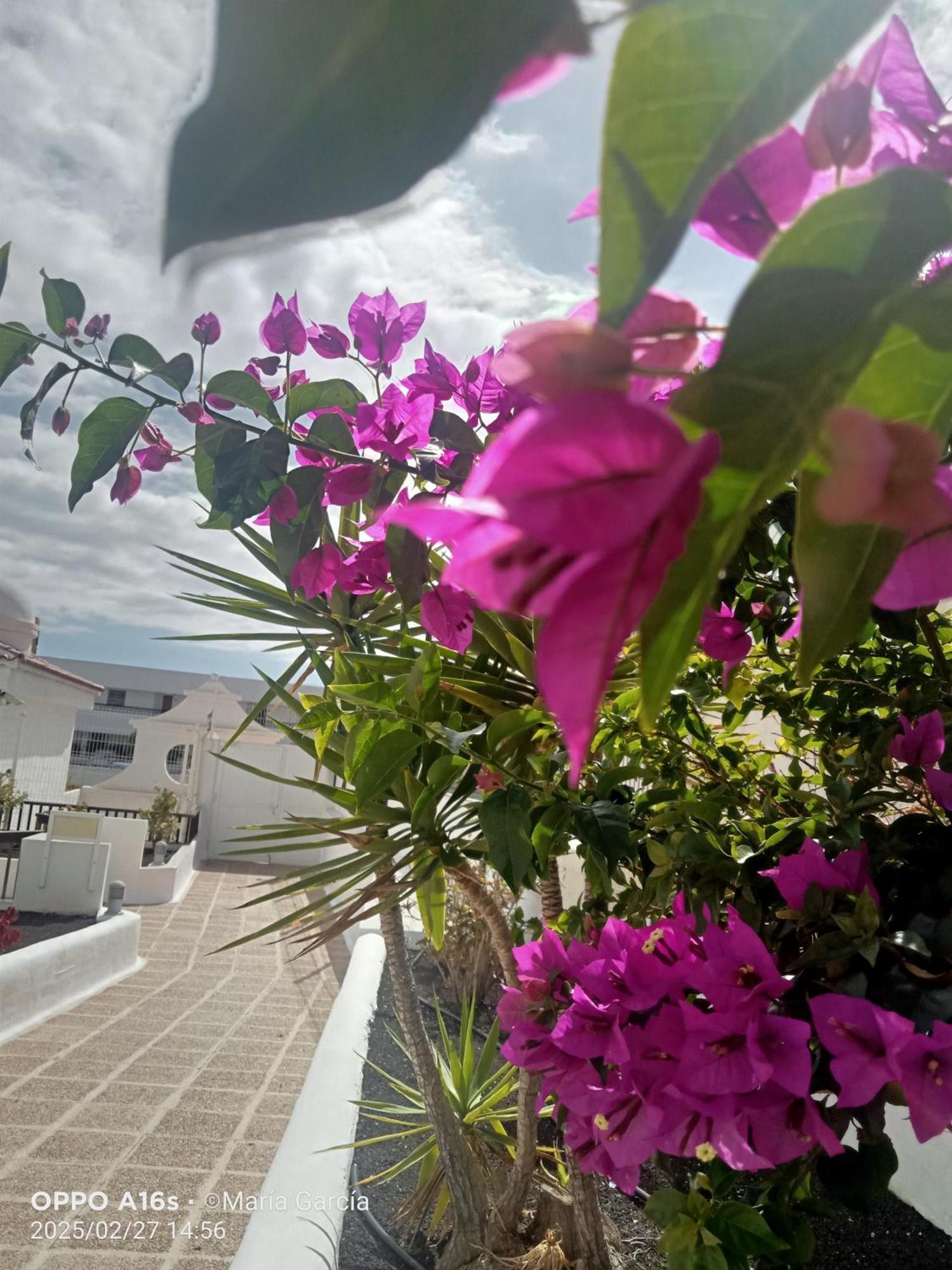 Penthouse Sea View Jacuzzy Terrace & Pool Apartman Playa Feñabe Kültér fotó